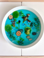Frog Pond Life Cycle Kit And Water Play