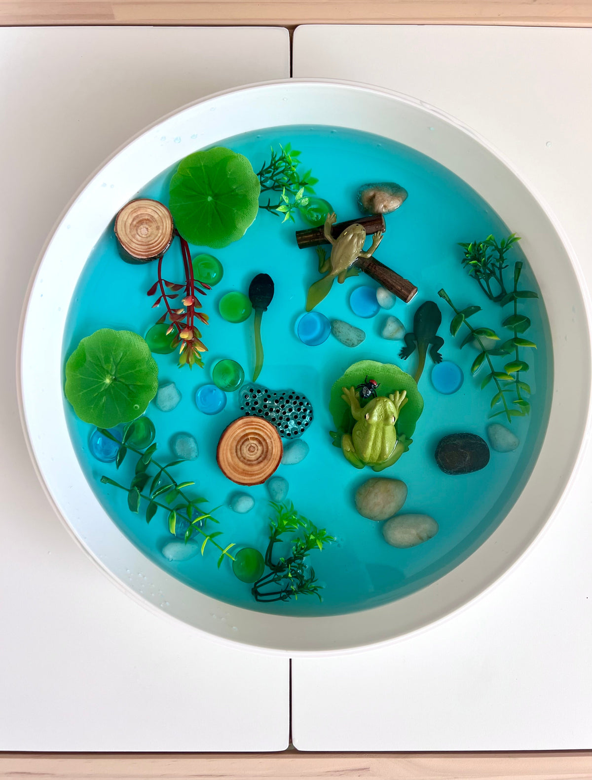 Frog Pond Life Cycle Kit And Water Play