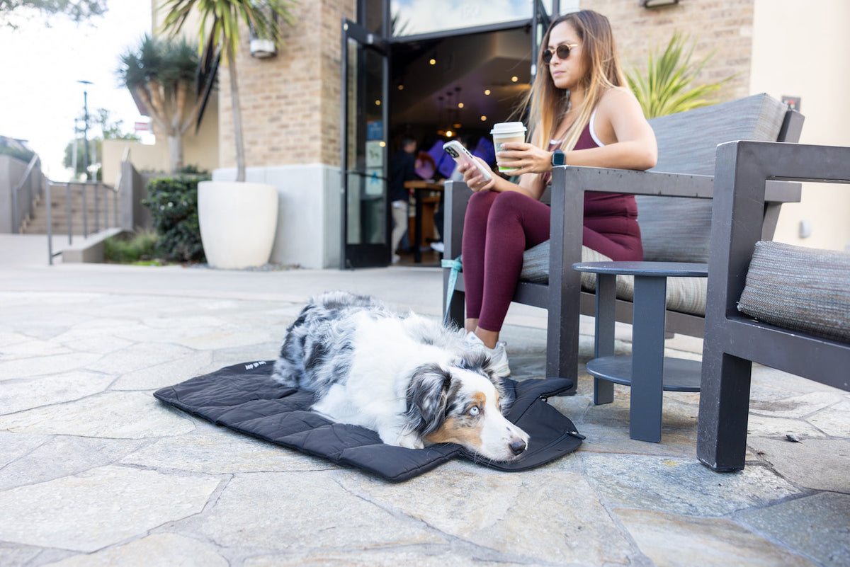 Travel Dog Mat