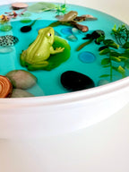 Frog Pond Life Cycle Kit And Water Play