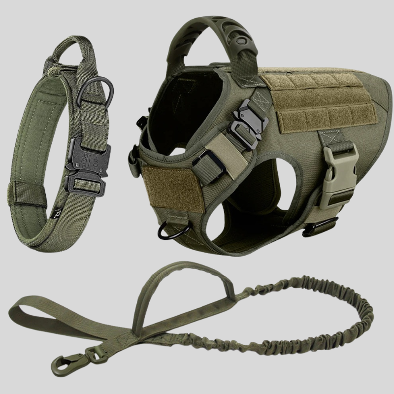Large Dog Harness & Leash Set – Training Vest