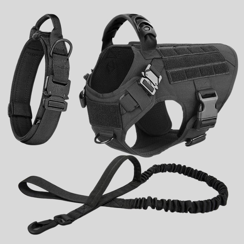 Large Dog Harness & Leash Set – Training Vest