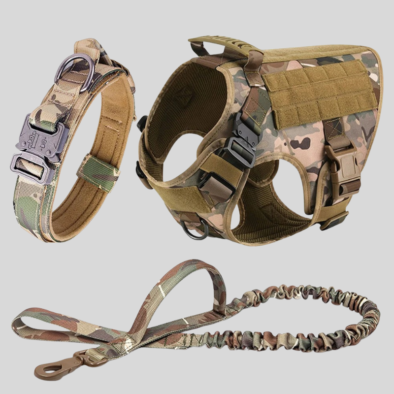 Large Dog Harness & Leash Set – Training Vest
