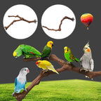 Bird Perching Stick