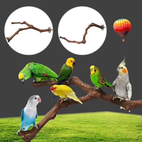 Bird Perching Stick