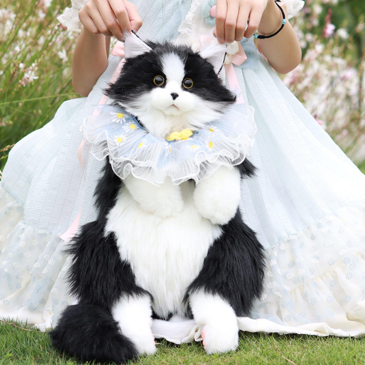 Ragdoll Cat Backpack –  Travel