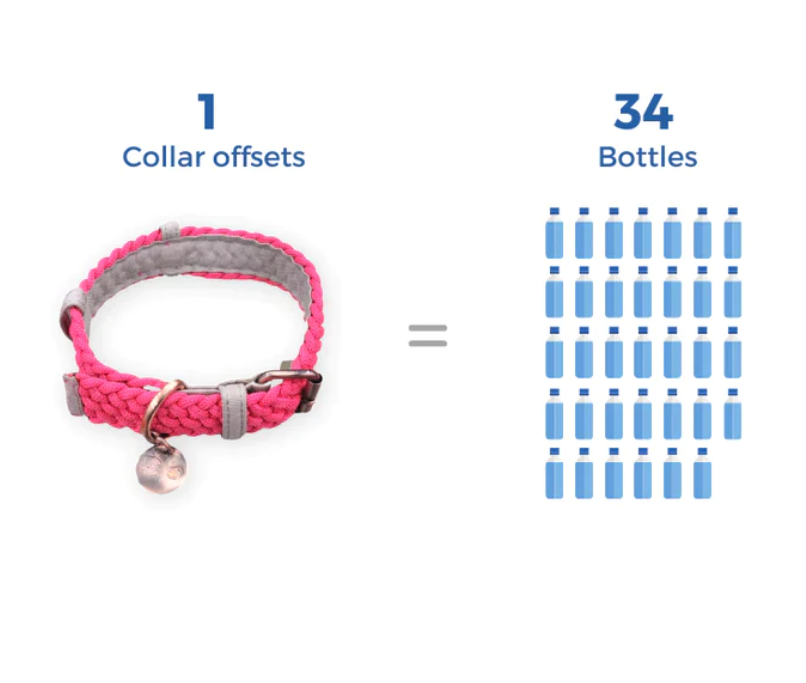 Recycled Eco-Friendly Dog Collar