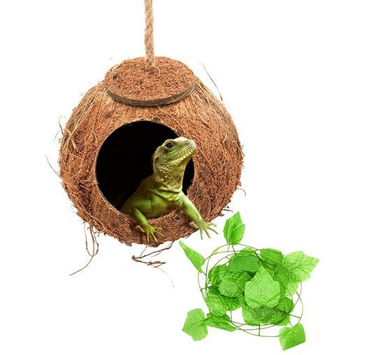 Eco Friendly Reptile Hanging Home