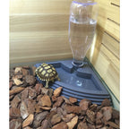 Corner Reptile Water Dispenser & Step Ramp