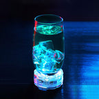 Waterproof LED Light With Remote