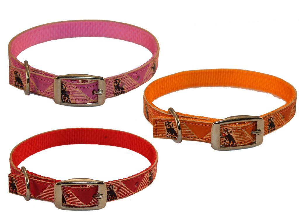Dog Collars