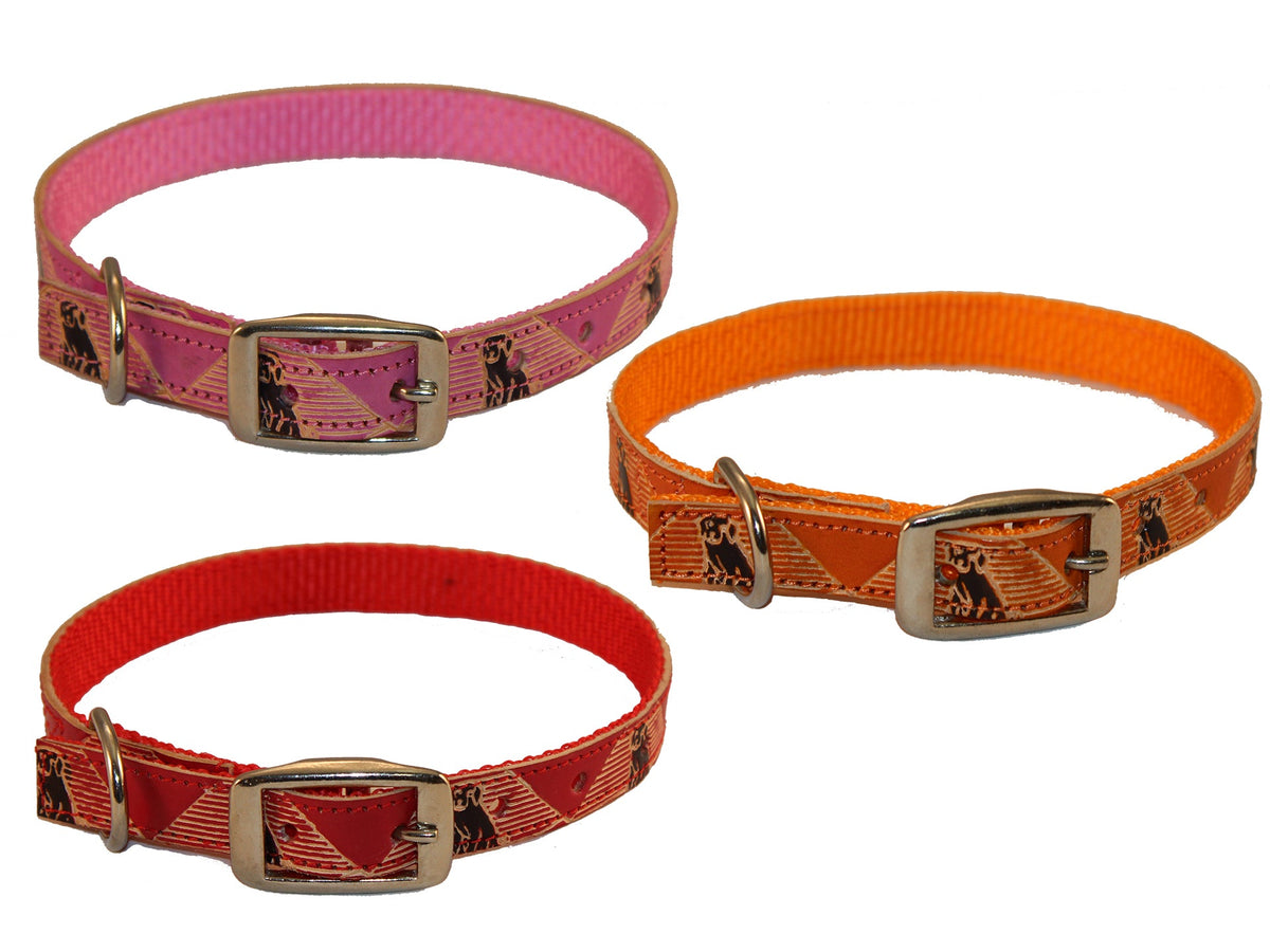 Dog Collars