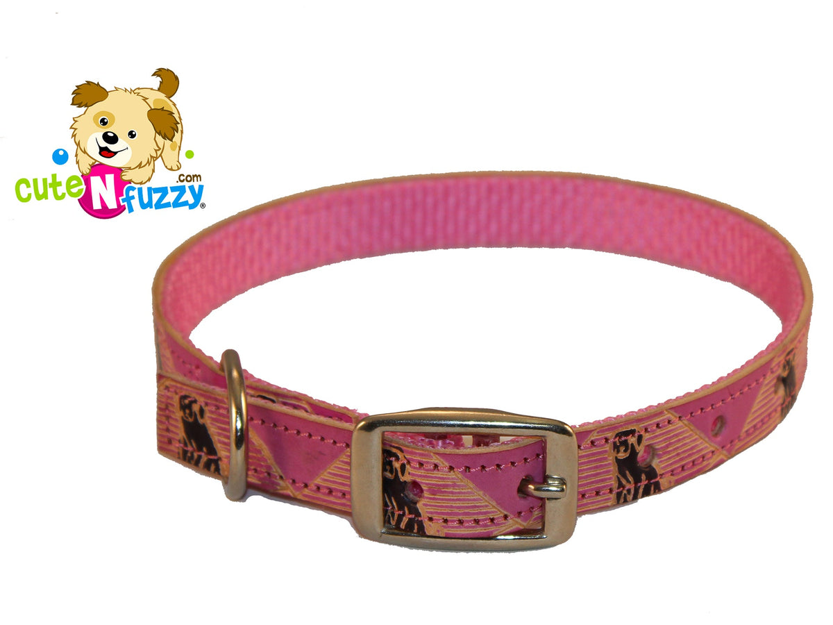 Dog Collars