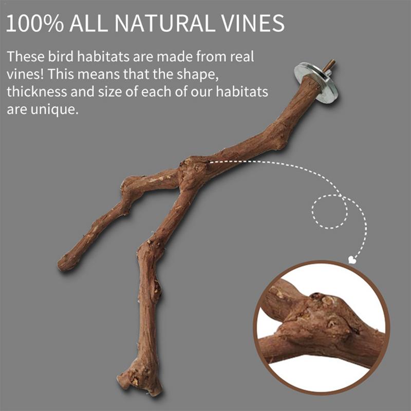 Bird Perching Stick