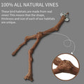Bird Perching Stick
