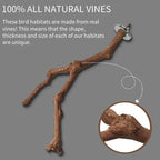 Bird Perching Stick