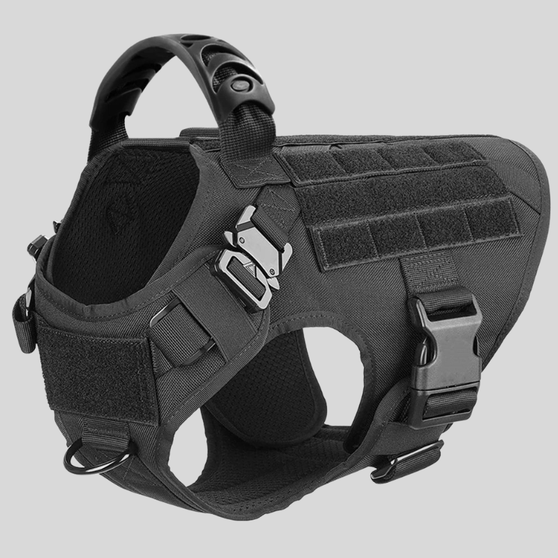 Large Dog Harness & Leash Set – Training Vest