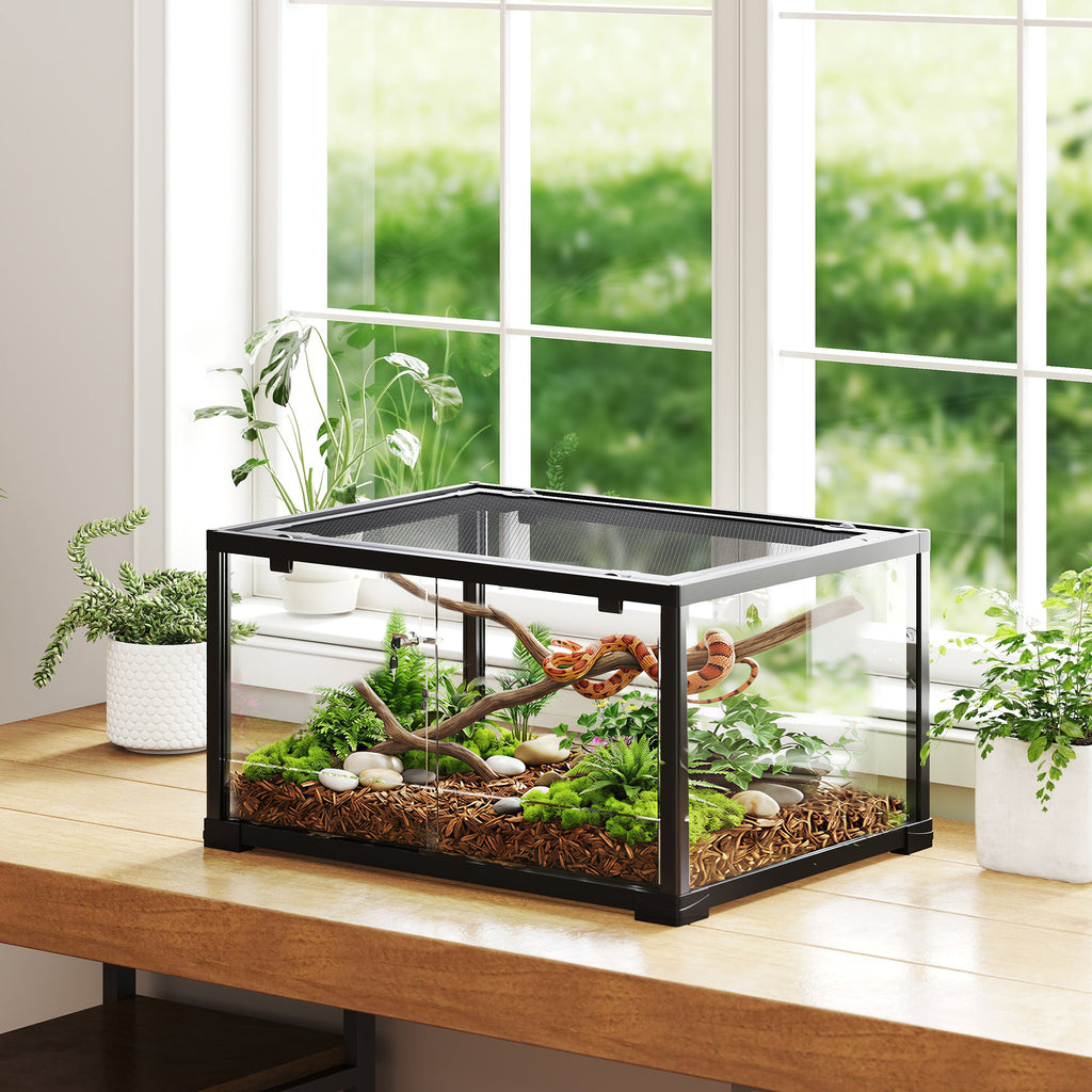 Reptile and Amphibian Enclosure
