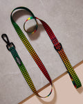 Dog Leash