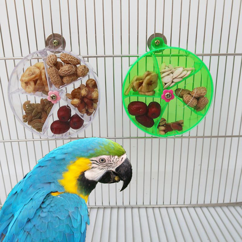 Parrot Supplies Toy