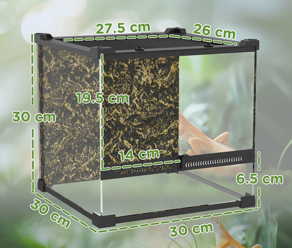 Small Reptile and Amphibian Enclosure
