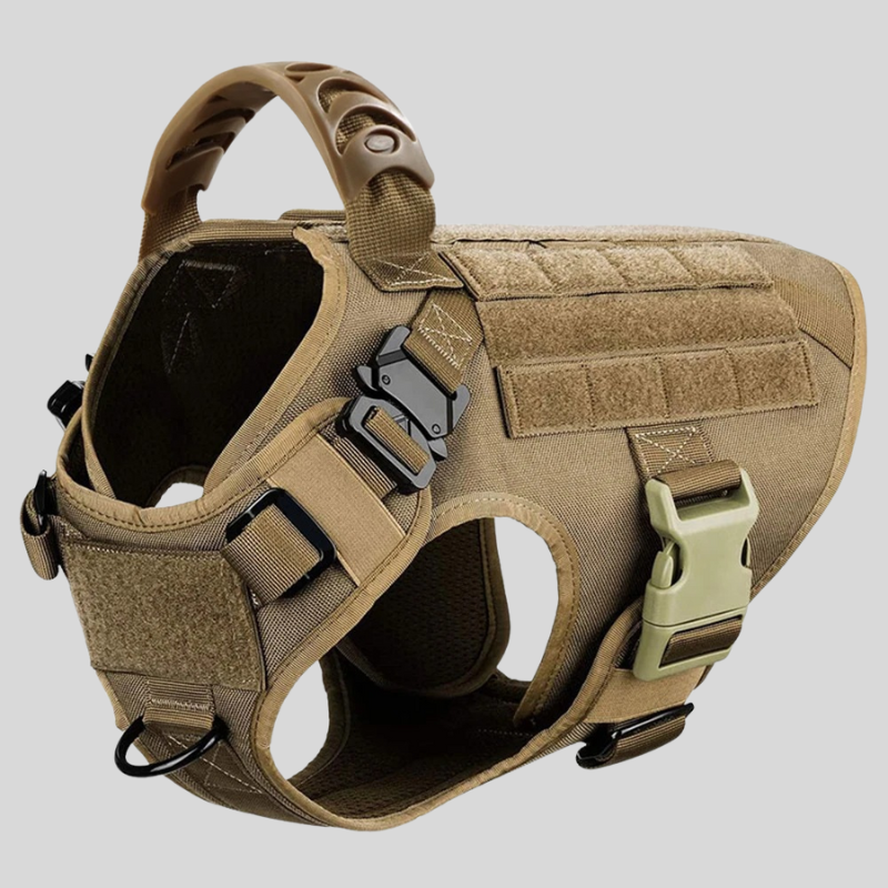Large Dog Harness & Leash Set – Training Vest