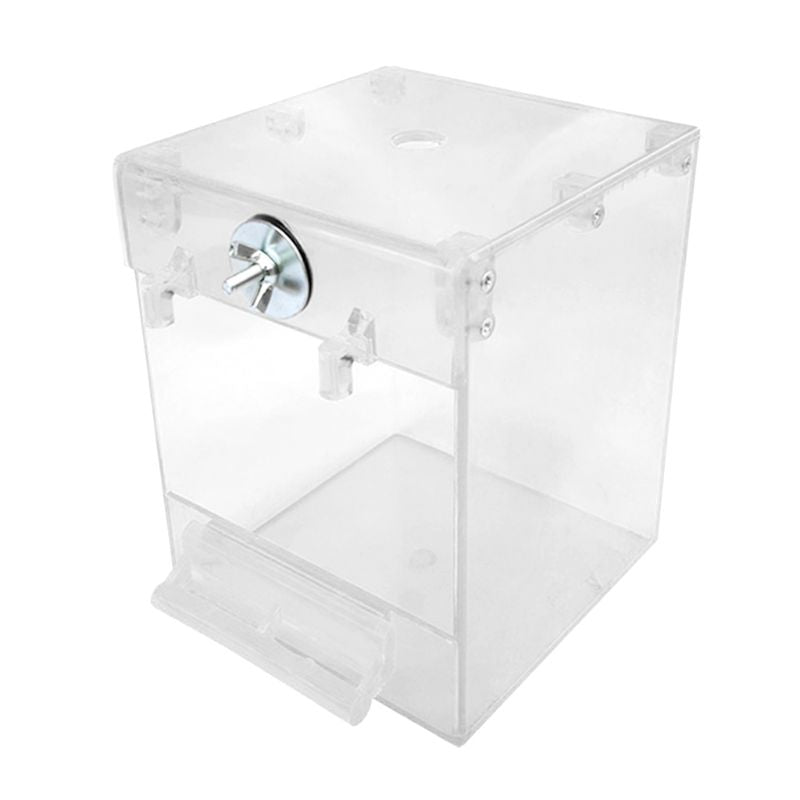 External Bird Bath