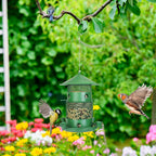 Outdoor Hanging Bird Feeder