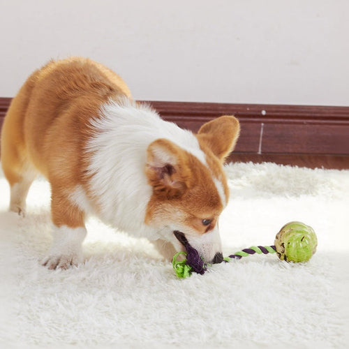 Ball Knot Dog Toys
