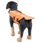 Pet Swim Wear