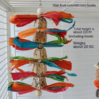 Parrot Toys