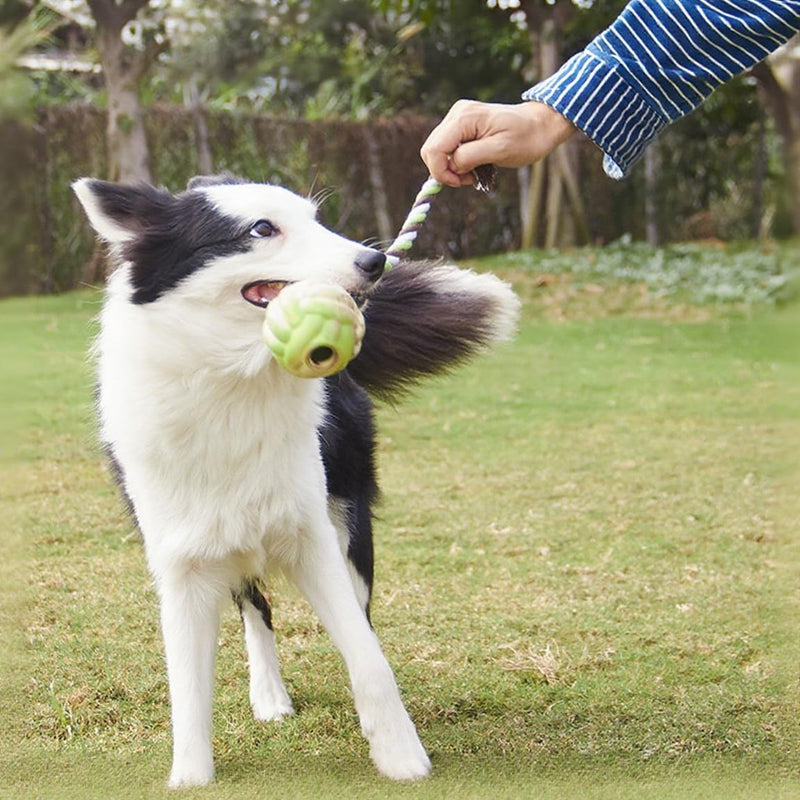 Ball Knot Dog Toys