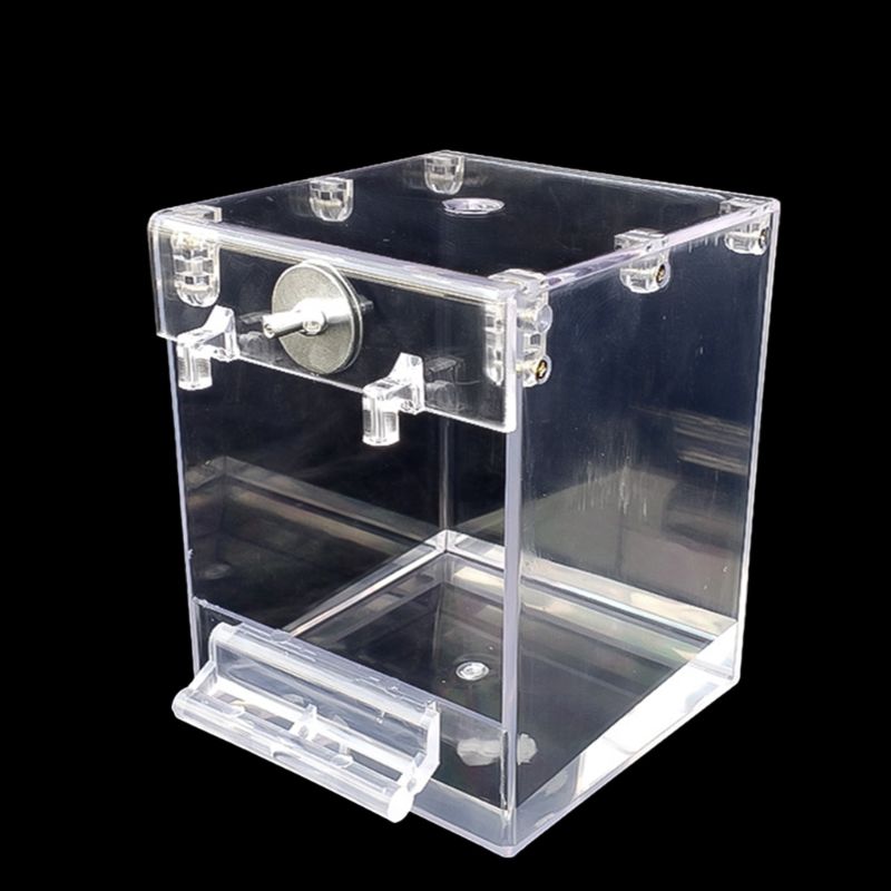 External Bird Bath