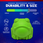 Bull Frog Dog Chew Toy