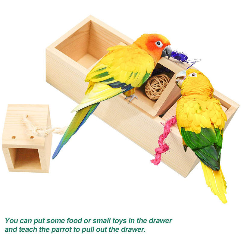 Bird Toys