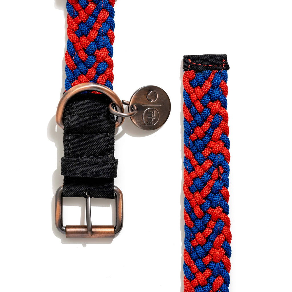 Recycled Eco-Friendly Dog Collar