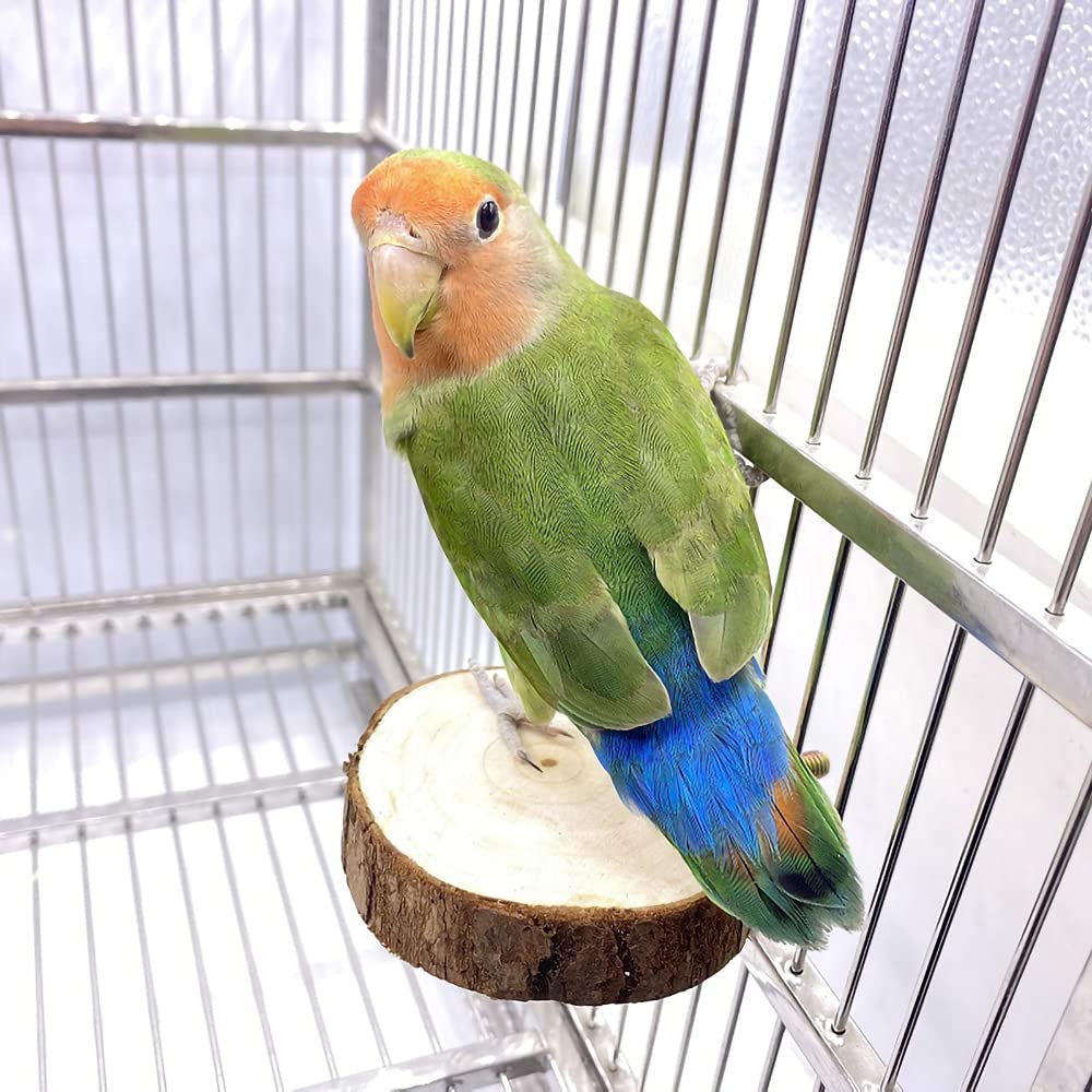 9-Piece Bird Cage Accessories Set
