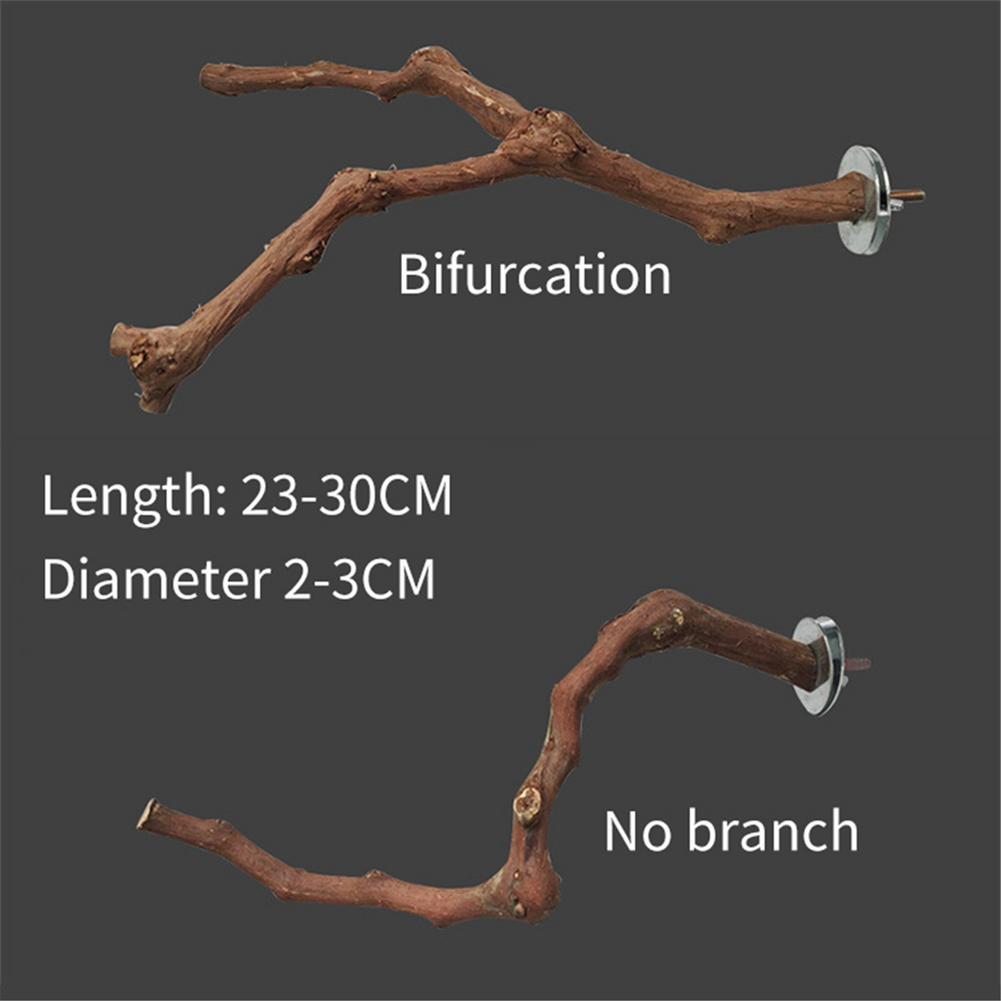 Bird Perching Stick