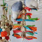 Parrot Toys