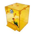 External Bird Bath