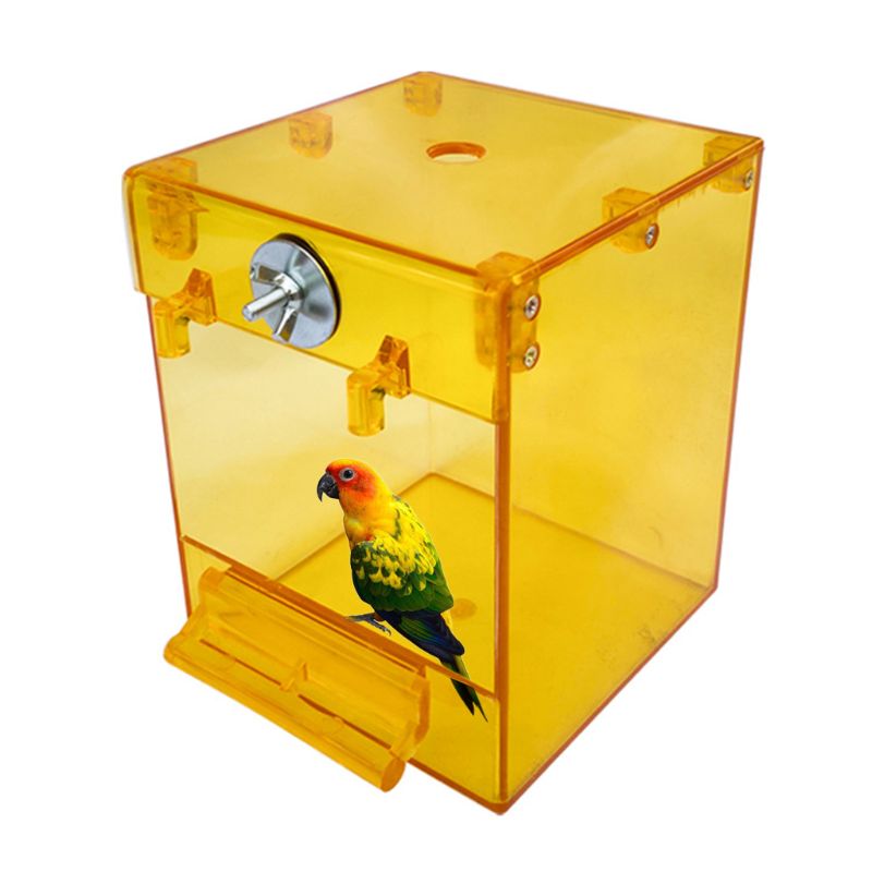 External Bird Bath