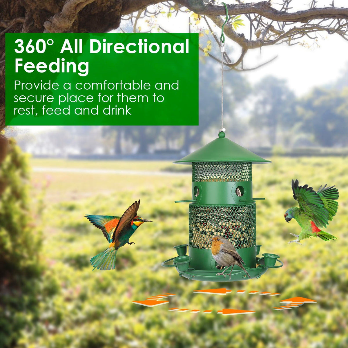 Outdoor Hanging Bird Feeder