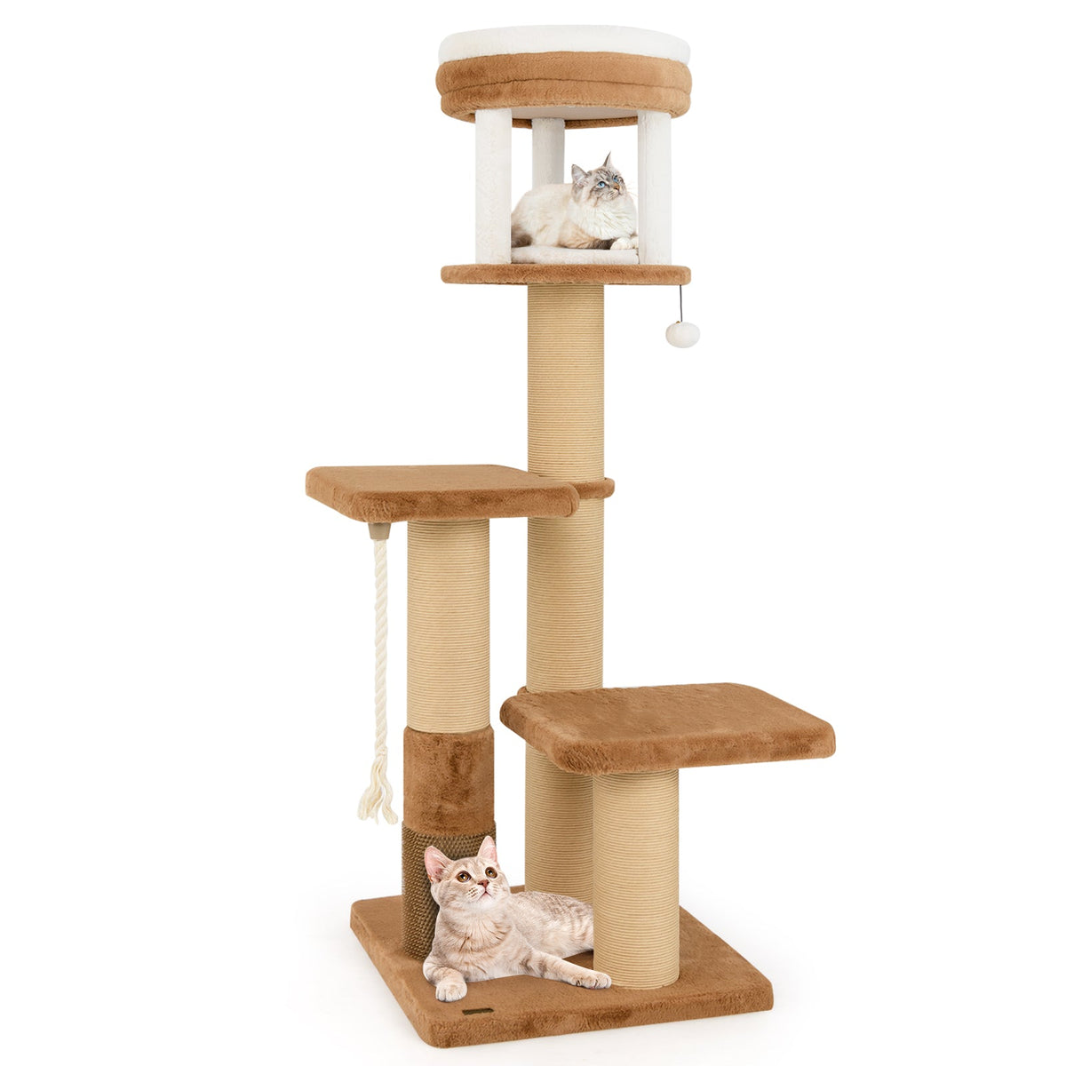 65 Inches Tall Cat Tree