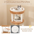 65 Inches Tall Cat Tree