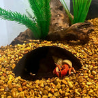 REEFSHAPE Aquarium or Terrarium Pocket Cave