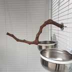 Bird Perching Stick