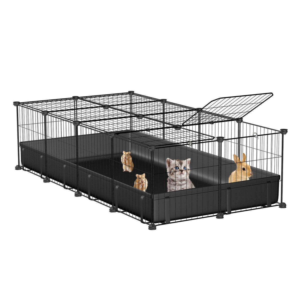 Guinea Pig Cage