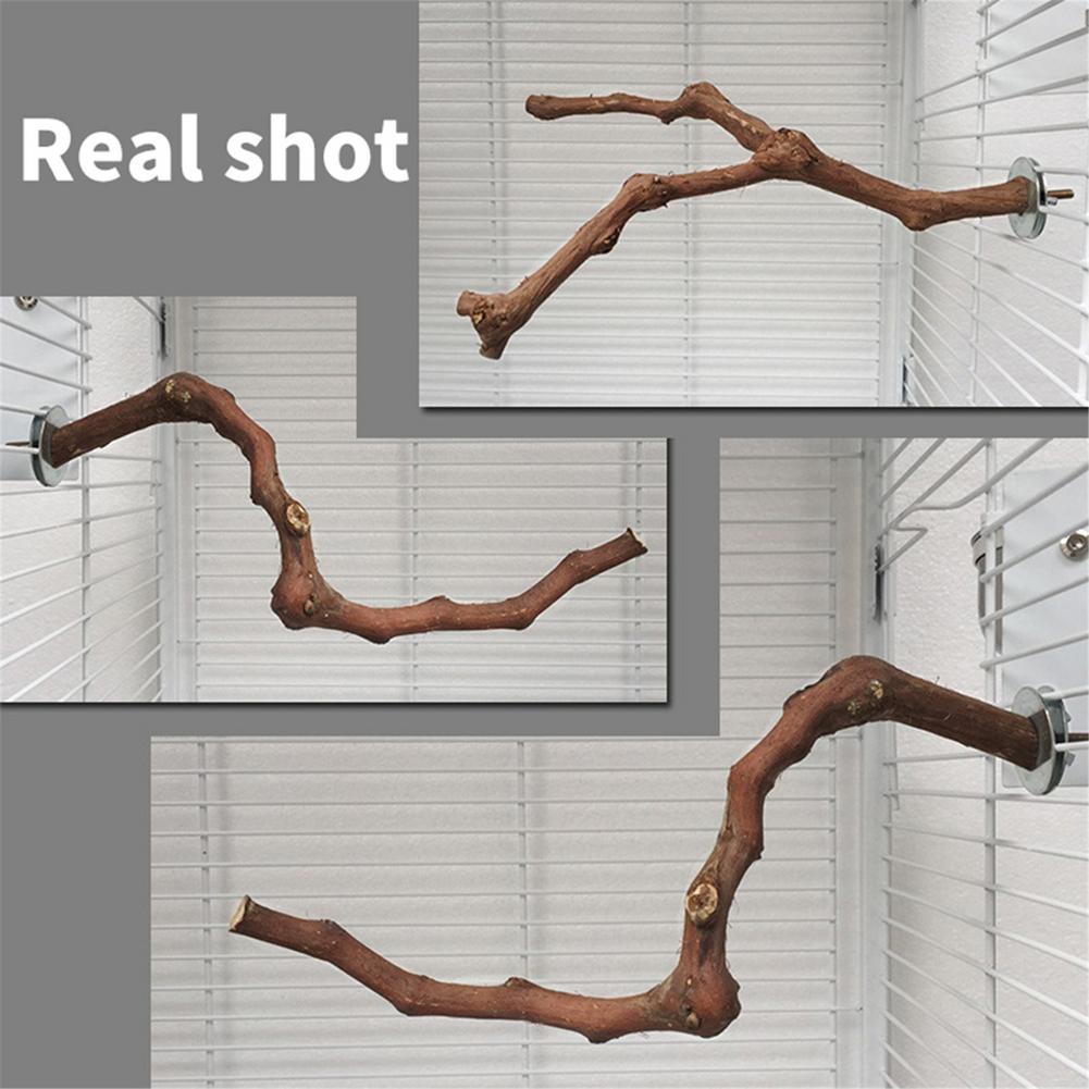 Bird Perching Stick