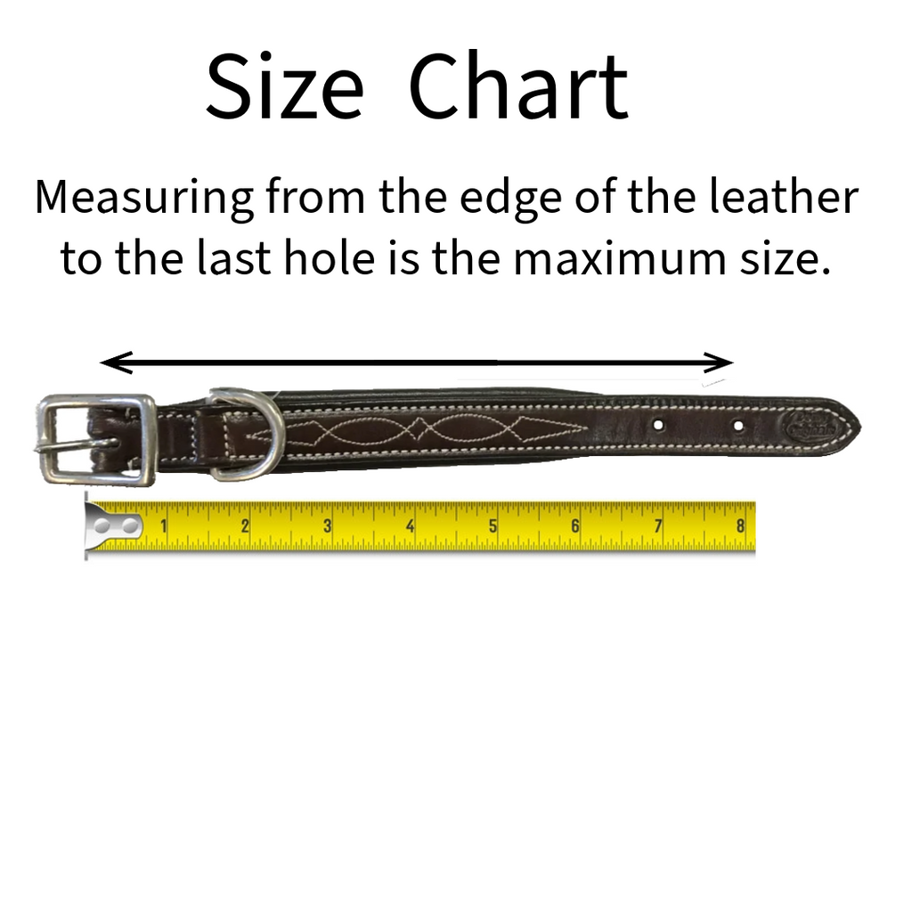 Dog Collar with Stainless Steel Rolled Buckle for Comfort