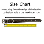 Dog Collar with Stainless Steel Rolled Buckle for Comfort